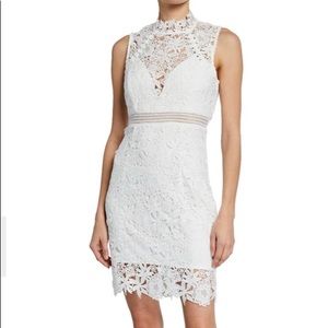 Bardot Paris Floral Lace Navy Blue Dress